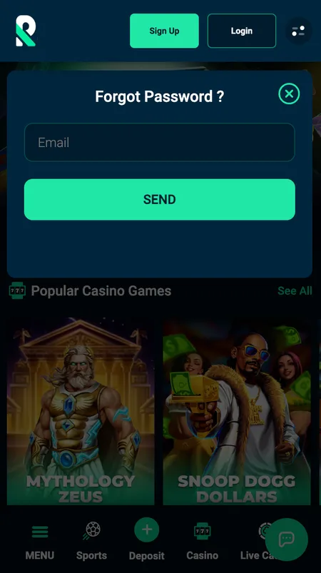 Rolletto password reset screen with email input